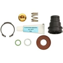Kit de reparação, secador de ar PNEUMATICS PN-RW0003