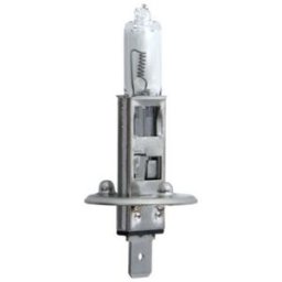 Lâmpada de halogéneo BOSCH H1 Trucklight Maxlife 24V, 70W