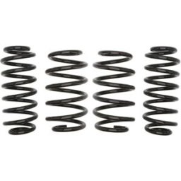 Molas EIBACH Pro Kit E10-81-009-05-22