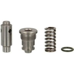 Elemento, bomba common rail DELPHI DIESEL DEL7135-525