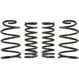 Kit de suspensão, molas EIBACH Pro-Kit E10-84-006-14-22