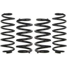 Kit de suspensão, molas EIBACH Pro-Kit E10-15-018-02-22