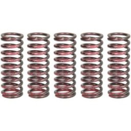 Kit de molas de embraiagem TRW MEF315-5