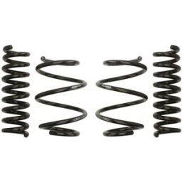 Kit de suspensão, molas EIBACH Pro-Kit E10-20-031-09-22