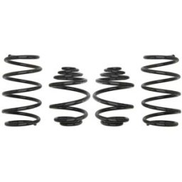 Molas EIBACH Pro Kit E10-65-002-01-22