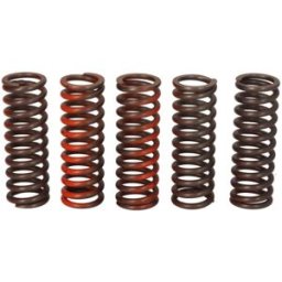 Kit de molas de embraiagem TRW MEF321-5