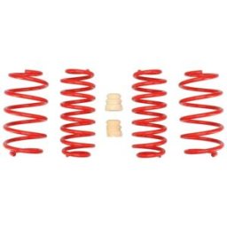 Molas EIBACH Pro Kit E20-85-014-01-22