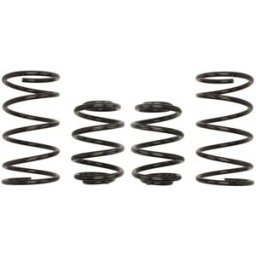 Molas EIBACH Pro Kit E2019-140
