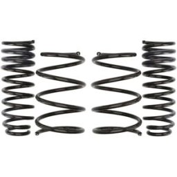 Molas EIBACH Pro Kit E10-82-012-02-22