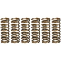 Kit de molas de embraiagem TRW MEF341-6