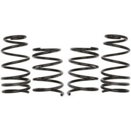 Molas EIBACH Pro Kit E10-77-002-06-22
