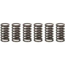 Kit de molas de embraiagem TRW MEF317-6