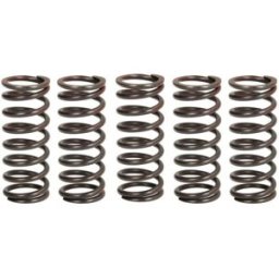 Kit de molas de embraiagem TRW MEF310-5