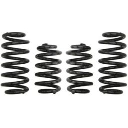 Molas EIBACH Pro Kit E10-15-008-05-22