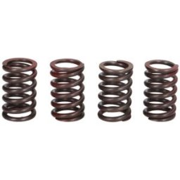 Kit de molas de embraiagem TRW MEF329-4