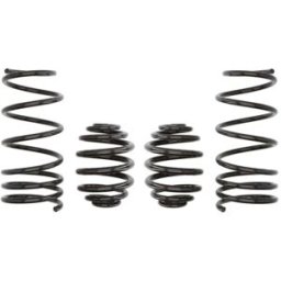 Mola de suspensão EIBACH Pro-Kit E10-75-001-02-22