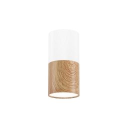 Luz de teto TUBA 1xGU10/50W/230V branco