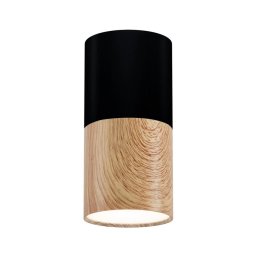 Luz de teto TUBA 1xGU10/50W/230V preto