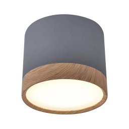 Luz de teto LED TUBA LED/9W/230V