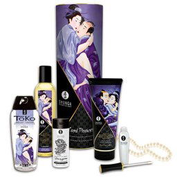 Kit Shunga Prazeres Carnais Ultimate