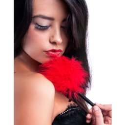 Espanador de Plumas Secret Play Vermelho