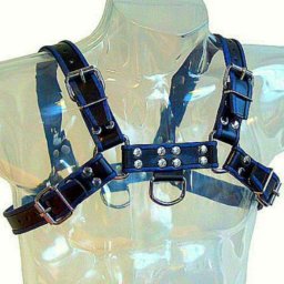 Arnês Corporal Leather Body Chest Bulldog Azul