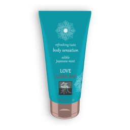 Lubrificante à Base de Água Beijável Shiatsu Love Lubricant Menta Japonesa (75 ml)
