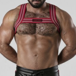 Arnês Corporal Backroom Harness Locker Gear Vermelho