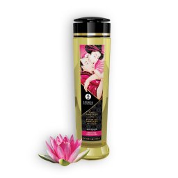 Óleo de Massagem Shunga Amour Doce Lotus (240 ml)