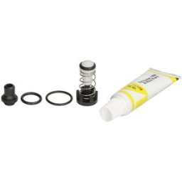 Kit de reparação, secador de ar PNEUMATICS PN-R0244