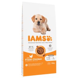 12kg Puppy Large com frango IAMS Advanced Nutrition ração cães