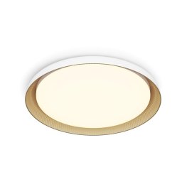 Philips - Iluminação de teto LED com regulação PEBBLO LED/10W/230V 2700K branco