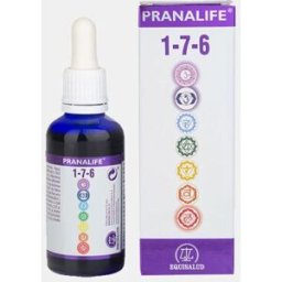 EQUISALUD PRANALIFE 1-7-6 50ml