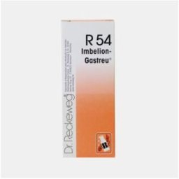 DR. RECKEWEG R54 50ml - Memória, Concentração
