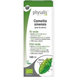 PHYSALIS CAMELLIA SINENSIS GOTAS CHA VERDE 100ML