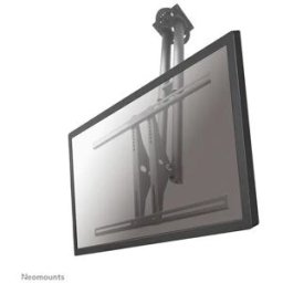 Neomounts Suporte de teto PLASMA-C100 para monitor 37-75