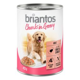 24x415g Peru e cenoura Chunks em molho Briantos comida húmida cães