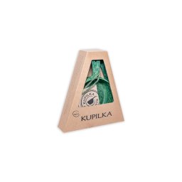 KUPILKA 33 + Conjunto de Caixa Spork Verde 303362B K336G