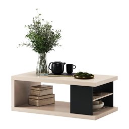 Mesa de centro com prateleira e espaço de arrumação LORA bege/preto
