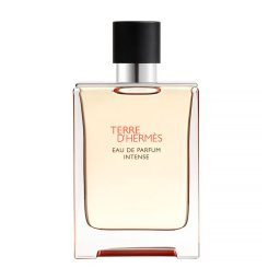 Hermès Terre d'Hermes Eau de Parfum Intense - 100ML Eau de Parfum Perfumes Homens