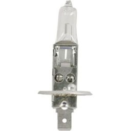 Ams-Osram Lâmpada incandescente OSRAM Standard H1 12V, 55W, 1 Peça