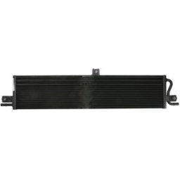 Radiador, arrefecimento do motor TITANX RX129012
