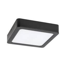 Rabalux 2689 - Iluminação de teto LED SHAUN LED/12W/230V 14,5 cm