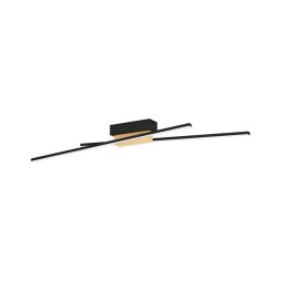 Eglo 900488 - Iluminação de teto LED com regulação PANAGRIA 2xLED/13W/230V
