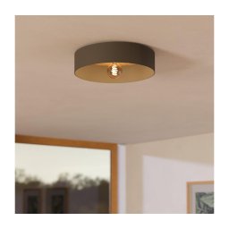 Eglo 901745 - Iluminação de teto DUAIA 1xE27/40W/230V cinzento
