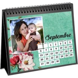Mitsubishi CALENDARIO I GIFTS 15X20