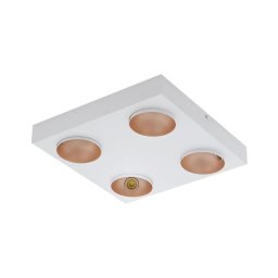 Eglo 39377 - Luz de teto fosca LED RONZANO 4xLED/3,3W/230V