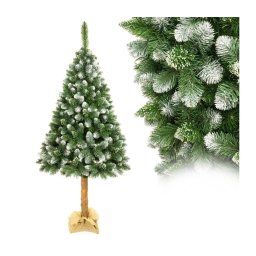 Árvore de Natal num tronco 180 cm pinheiro