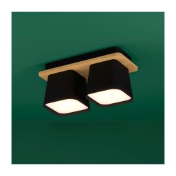 Eglo 390007 - Iluminação de teto RUSCIO 2xE27/40W/230V preto/castanho