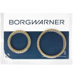 Placa frontal, embraiagem de placas múltiplas (transmissão automática) BORG WARNER 203535